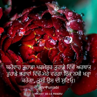 Picture 03 - ਅਸਤਸਨਾ 18:15 PANIRV - ਯਹੋਵਾਹ ਤੁਹਾਡਾ - Bible Verse Picture