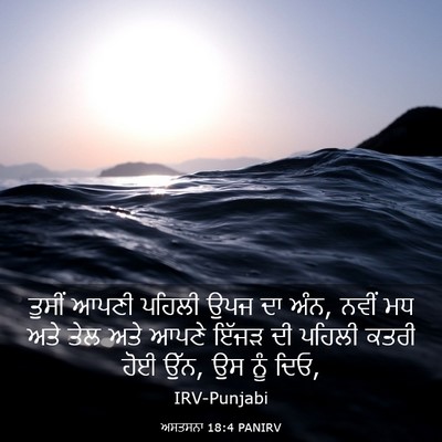 Picture 03 - ਅਸਤਸਨਾ 18:4 PANIRV - ਤੁਸੀਂ ਆਪਣੀ ਪਹਿਲੀ - Bible Verse Picture