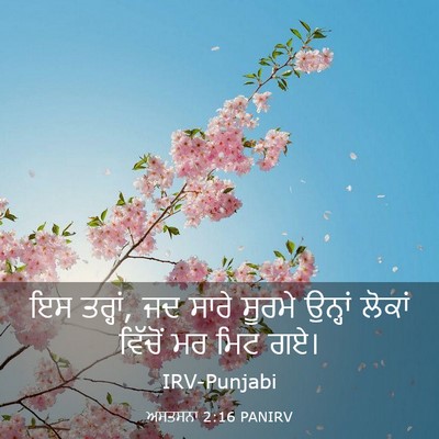 Picture 03 - ਅਸਤਸਨਾ 2:16 PANIRV - ਇਸ ਤਰ੍ਹਾਂ, ਜਦ ਸਾਰੇ - Bible Verse Picture