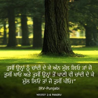 Picture 03 - ਅਸਤਸਨਾ 2:6 PANIRV - ਤੁਸੀਂ ਉਨ੍ਹਾਂ ਨੂੰ - Bible Verse Picture
