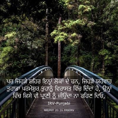 Picture 03 - ਅਸਤਸਨਾ 20:16 PANIRV - ਪਰ ਜਿਹੜੇ ਸ਼ਹਿਰ - Bible Verse Picture