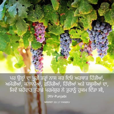 Picture 03 - ਅਸਤਸਨਾ 20:17 PANIRV - ਪਰ ਉਨ੍ਹਾਂ ਦਾ ਪੂਰੀ - Bible Verse Picture