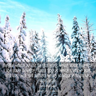Picture 03 - ਅਸਤਸਨਾ 20:18 PANIRV - ਕਿਉਂਕਿ ਅਜਿਹਾ ਨਾ - Bible Verse Picture