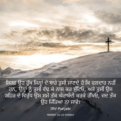 Picture 03 - ਅਸਤਸਨਾ 20:20 PANIRV - ਸਿਰਫ਼ ਉਹ ਰੁੱਖ - Bible Verse Picture