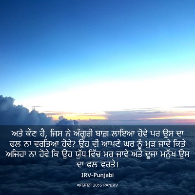 Picture 03 - ਅਸਤਸਨਾ 20:6 PANIRV - ਅਤੇ ਕੌਣ ਹੈ, ਜਿਸ ਨੇ - Bible Verse Picture
