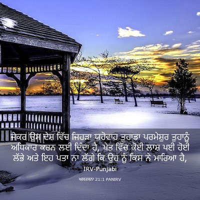 Picture 03 - ਅਸਤਸਨਾ 21:1 PANIRV - ਜੇਕਰ ਉਸ ਦੇਸ਼ ਵਿੱਚ - Bible Verse Picture