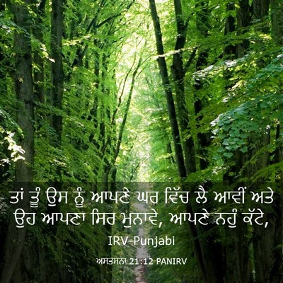 Picture 03 - ਅਸਤਸਨਾ 21:12 PANIRV - ਤਾਂ ਤੂੰ ਉਸ ਨੂੰ ਆਪਣੇ - Bible Verse Picture