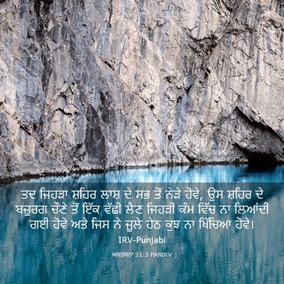 Picture 03 - ਅਸਤਸਨਾ 21:3 PANIRV - ਤਦ ਜਿਹੜਾ ਸ਼ਹਿਰ - Bible Verse Picture