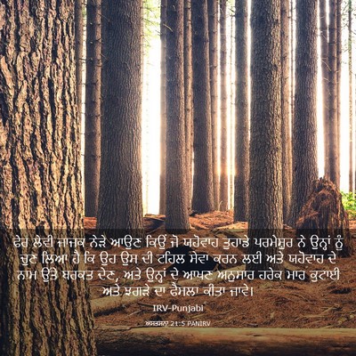 Picture 03 - ਅਸਤਸਨਾ 21:5 PANIRV - ਫੇਰ ਲੇਵੀ ਜਾਜਕ ਨੇੜੇ - Bible Verse Picture