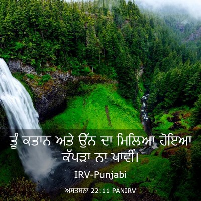 Picture 03 - ਅਸਤਸਨਾ 22:11 PANIRV - ਤੂੰ ਕਤਾਨ ਅਤੇ ਉੱਨ ਦਾ - Bible Verse Picture