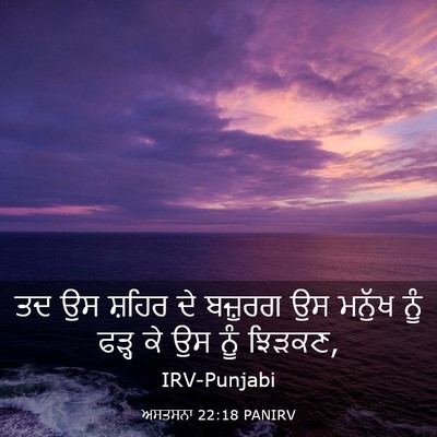 Picture 03 - ਅਸਤਸਨਾ 22:18 PANIRV - ਤਦ ਉਸ ਸ਼ਹਿਰ ਦੇ - Bible Verse Picture