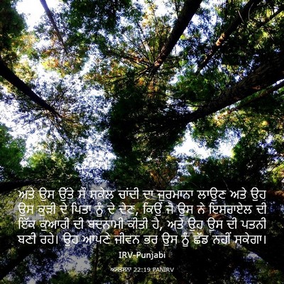 Picture 03 - ਅਸਤਸਨਾ 22:19 PANIRV - ਅਤੇ ਉਸ ਉੱਤੇ ਸੌ - Bible Verse Picture
