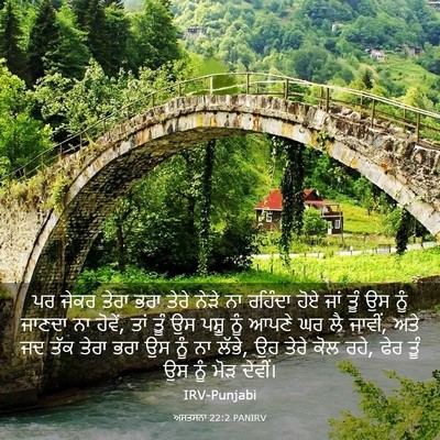 Picture 03 - ਅਸਤਸਨਾ 22:2 PANIRV - ਪਰ ਜੇਕਰ ਤੇਰਾ ਭਰਾ - Bible Verse Picture