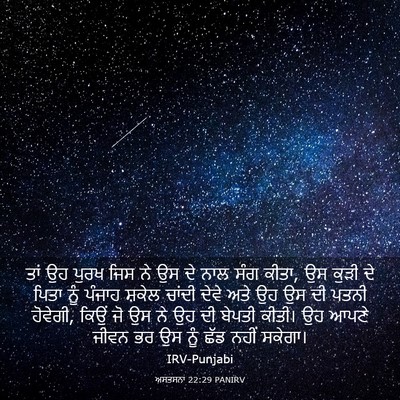Picture 03 - ਅਸਤਸਨਾ 22:29 PANIRV - ਤਾਂ ਉਹ ਪੁਰਖ ਜਿਸ ਨੇ - Bible Verse Picture