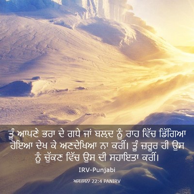 Picture 03 - ਅਸਤਸਨਾ 22:4 PANIRV - ਤੂੰ ਆਪਣੇ ਭਰਾ ਦੇ ਗਧੇ - Bible Verse Picture