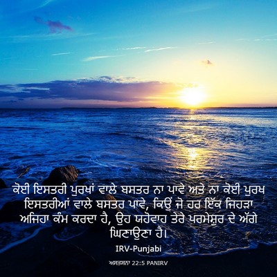 Picture 03 - ਅਸਤਸਨਾ 22:5 PANIRV - ਕੋਈ ਇਸਤਰੀ ਪੁਰਖਾਂ - Bible Verse Picture