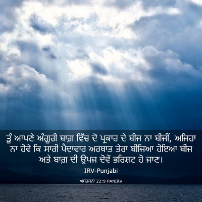 Picture 03 - ਅਸਤਸਨਾ 22:9 PANIRV - ਤੂੰ ਆਪਣੇ ਅੰਗੂਰੀ - Bible Verse Picture