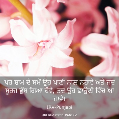 Picture 03 - ਅਸਤਸਨਾ 23:11 PANIRV - ਪਰ ਸ਼ਾਮ ਦੇ ਸਮੇਂ ਉਹ - Bible Verse Picture