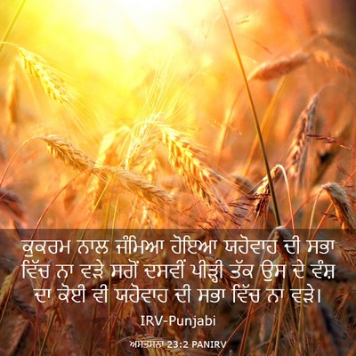 Picture 03 - ਅਸਤਸਨਾ 23:2 PANIRV - ਕੁਕਰਮ ਨਾਲ ਜੰਮਿਆ - Bible Verse Picture