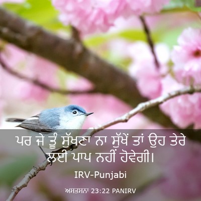 Picture 03 - ਅਸਤਸਨਾ 23:22 PANIRV - ਪਰ ਜੇ ਤੂੰ ਸੁੱਖਣਾ ਨਾ - Bible Verse Picture