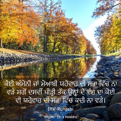 Picture 03 - ਅਸਤਸਨਾ 23:3 PANIRV - ਕੋਈ ਅੰਮੋਨੀ ਜਾਂ - Bible Verse Picture