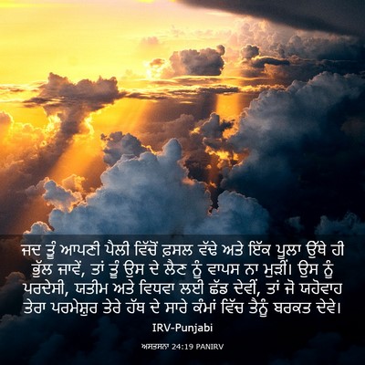 Picture 03 - ਅਸਤਸਨਾ 24:19 PANIRV - ਜਦ ਤੂੰ ਆਪਣੀ ਪੈਲੀ - Bible Verse Picture