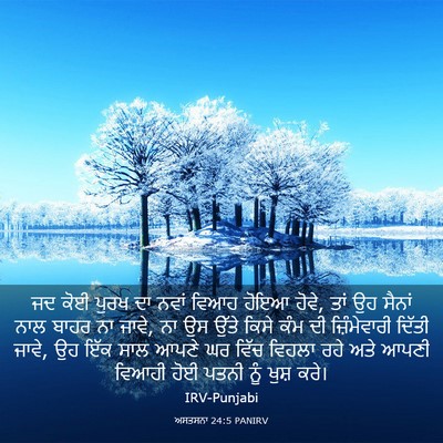 Picture 03 - ਅਸਤਸਨਾ 24:5 PANIRV - ਜਦ ਕੋਈ ਪੁਰਖ ਦਾ ਨਵਾਂ - Bible Verse Picture