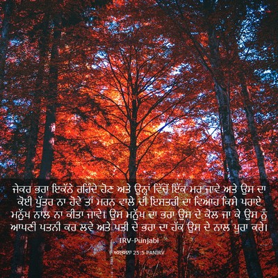 Picture 03 - ਅਸਤਸਨਾ 25:5 PANIRV - ਜੇਕਰ ਭਰਾ ਇਕੱਠੇ - Bible Verse Picture