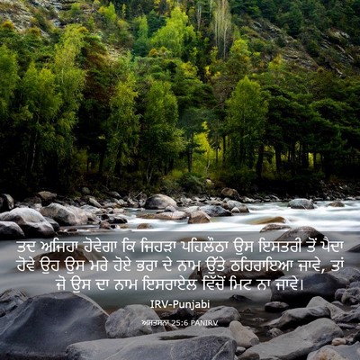 Picture 03 - ਅਸਤਸਨਾ 25:6 PANIRV - ਤਦ ਅਜਿਹਾ ਹੋਵੇਗਾ ਕਿ - Bible Verse Picture