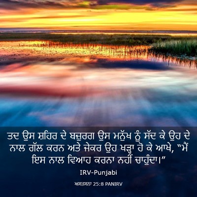 Picture 03 - ਅਸਤਸਨਾ 25:8 PANIRV - ਤਦ ਉਸ ਸ਼ਹਿਰ ਦੇ - Bible Verse Picture