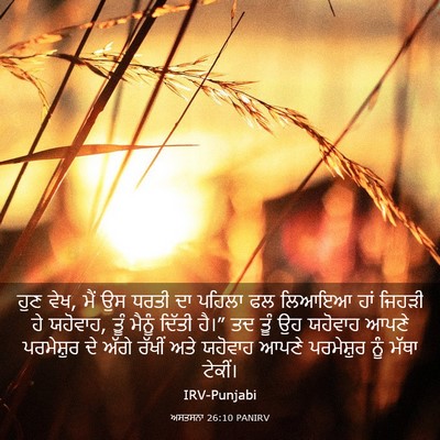 Picture 03 - ਅਸਤਸਨਾ 26:10 PANIRV - ਹੁਣ ਵੇਖ, ਮੈਂ ਉਸ - Bible Verse Picture