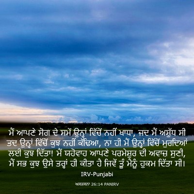 Picture 03 - ਅਸਤਸਨਾ 26:14 PANIRV - ਮੈਂ ਆਪਣੇ ਸੋਗ ਦੇ - Bible Verse Picture