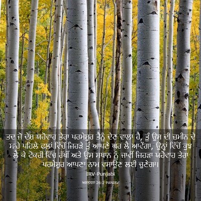 Picture 03 - ਅਸਤਸਨਾ 26:2 PANIRV - ਤਦ ਜੋ ਦੇਸ਼ ਯਹੋਵਾਹ - Bible Verse Picture