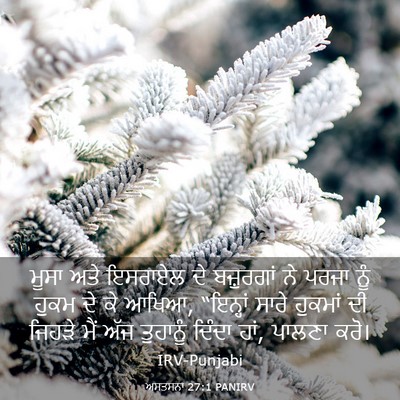 Picture 03 - ਅਸਤਸਨਾ 27:1 PANIRV - ਮੂਸਾ ਅਤੇ ਇਸਰਾਏਲ ਦੇ - Bible Verse Picture