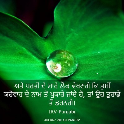 Picture 03 - ਅਸਤਸਨਾ 28:10 PANIRV - ਅਤੇ ਧਰਤੀ ਦੇ ਸਾਰੇ - Bible Verse Picture