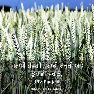 Picture 03 - ਅਸਤਸਨਾ 28:17 PANIRV - ਸਰਾਪੀ ਹੋਵੇਗੀ - Bible Verse Picture
