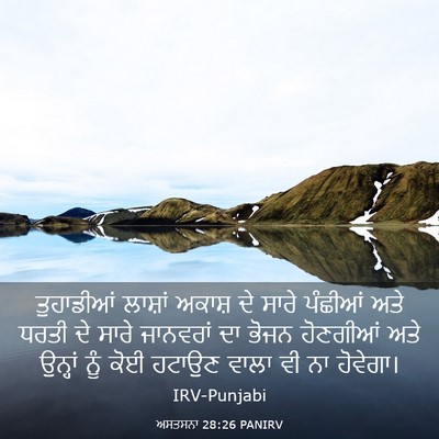 Picture 03 - ਅਸਤਸਨਾ 28:26 PANIRV - ਤੁਹਾਡੀਆਂ ਲਾਸ਼ਾਂ - Bible Verse Picture