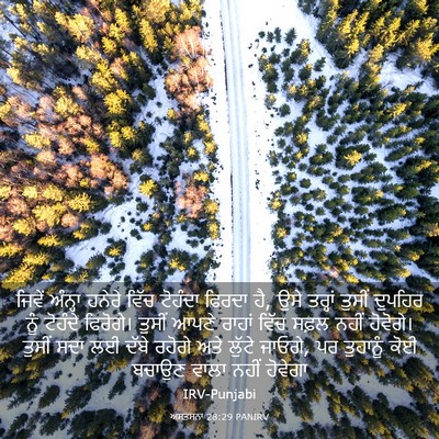 Picture 03 - ਅਸਤਸਨਾ 28:29 PANIRV - ਜਿਵੇਂ ਅੰਨ੍ਹਾ - Bible Verse Picture