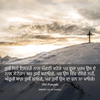 Picture 03 - ਅਸਤਸਨਾ 28:30 PANIRV - ਤੁਸੀਂ ਕਿਸੇ ਇਸਤਰੀ - Bible Verse Picture