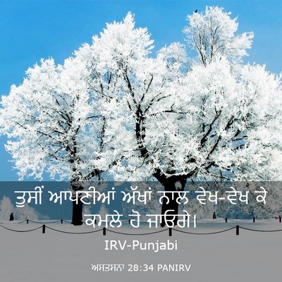 Picture 03 - ਅਸਤਸਨਾ 28:34 PANIRV - ਤੁਸੀਂ ਆਪਣੀਆਂ - Bible Verse Picture