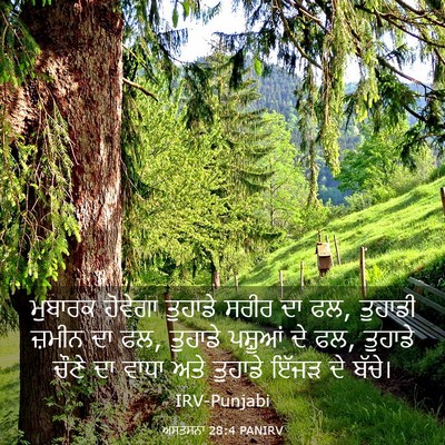 Picture 03 - ਅਸਤਸਨਾ 28:4 PANIRV - ਮੁਬਾਰਕ ਹੋਵੇਗਾ - Bible Verse Picture