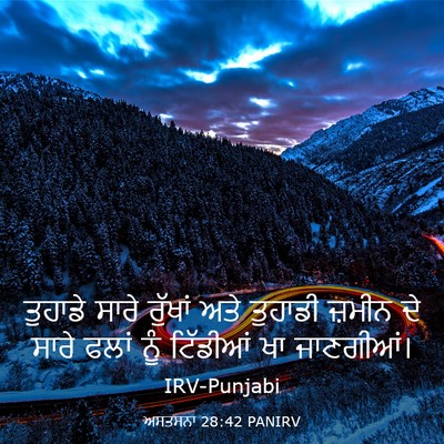 Picture 03 - ਅਸਤਸਨਾ 28:42 PANIRV - ਤੁਹਾਡੇ ਸਾਰੇ - Bible Verse Picture
