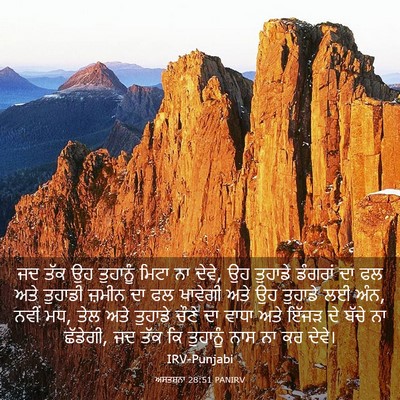 Picture 03 - ਅਸਤਸਨਾ 28:51 PANIRV - ਜਦ ਤੱਕ ਉਹ ਤੁਹਾਨੂੰ - Bible Verse Picture