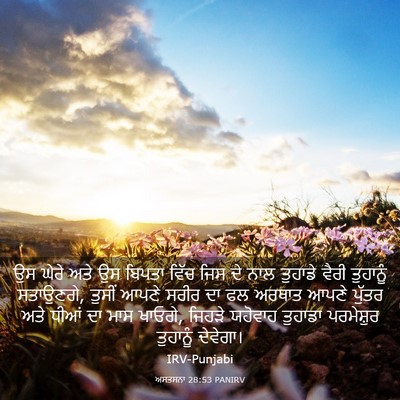Picture 03 - ਅਸਤਸਨਾ 28:53 PANIRV - ਉਸ ਘੇਰੇ ਅਤੇ ਉਸ - Bible Verse Picture