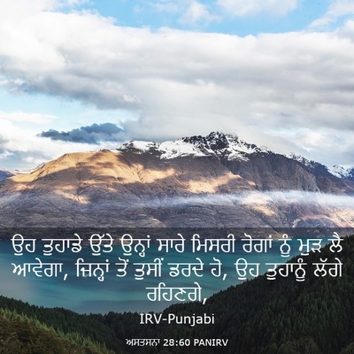 Picture 03 - ਅਸਤਸਨਾ 28:60 PANIRV - ਉਹ ਤੁਹਾਡੇ ਉੱਤੇ - Bible Verse Picture
