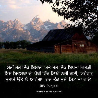 Picture 03 - ਅਸਤਸਨਾ 28:61 PANIRV - ਸਗੋਂ ਹਰ ਇੱਕ ਬਿਮਾਰੀ - Bible Verse Picture