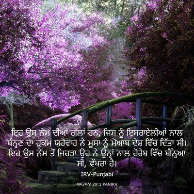 Picture 03 - ਅਸਤਸਨਾ 29:1 PANIRV - ਇਹ ਉਸ ਨੇਮ ਦੀਆਂ - Bible Verse Picture
