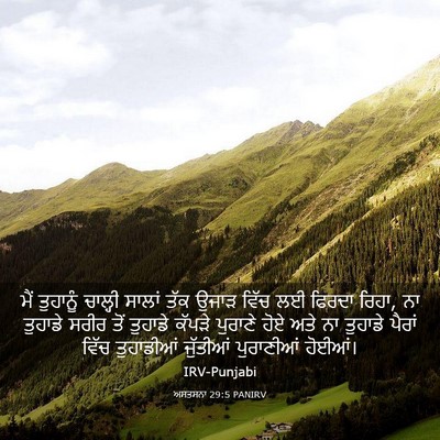 Picture 03 - ਅਸਤਸਨਾ 29:5 PANIRV - ਮੈਂ ਤੁਹਾਨੂੰ - Bible Verse Picture