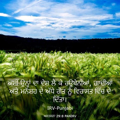 Picture 03 - ਅਸਤਸਨਾ 29:8 PANIRV - ਅਸੀਂ ਉਨ੍ਹਾਂ ਦਾ - Bible Verse Picture