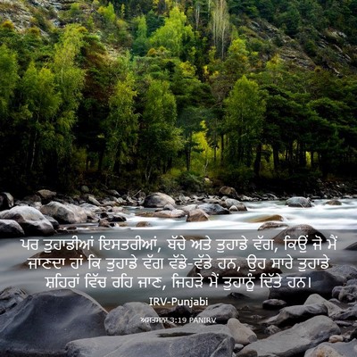 Picture 03 - ਅਸਤਸਨਾ 3:19 PANIRV - ਪਰ ਤੁਹਾਡੀਆਂ - Bible Verse Picture